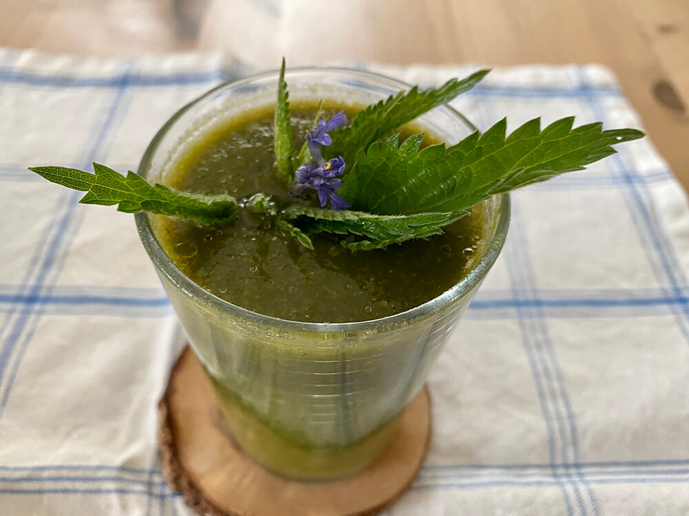 Smoothie aus Brennnesseln und Wildkräutern erfrischen schon am Morgen.