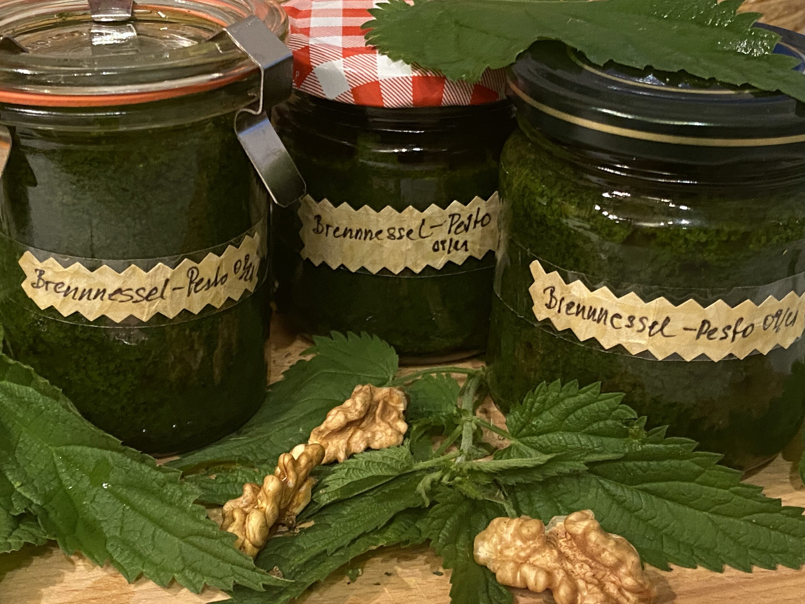 Brennnessel-Pesto Brennnessel-Pest