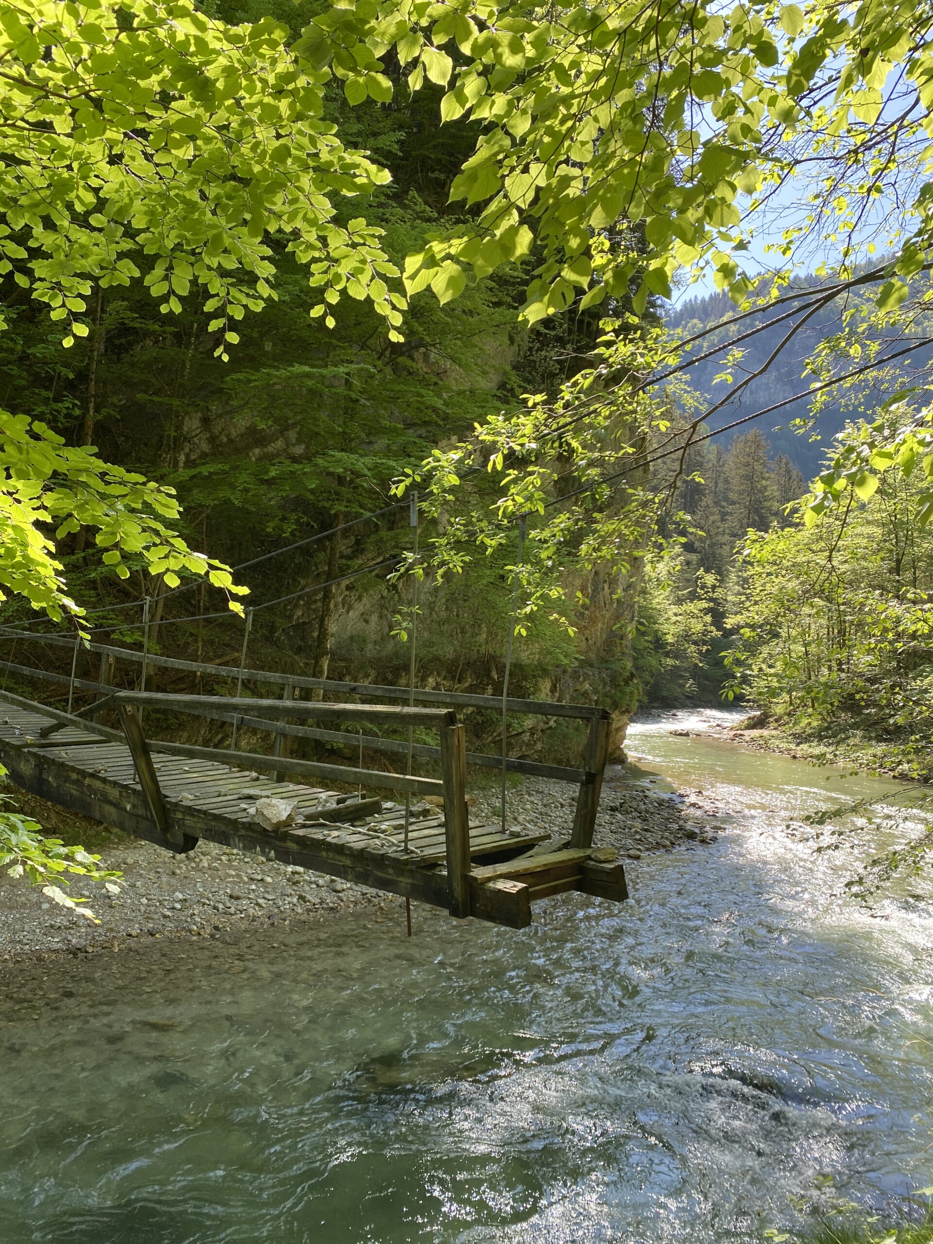 durch den naturpark Ötscher -Tormäuer