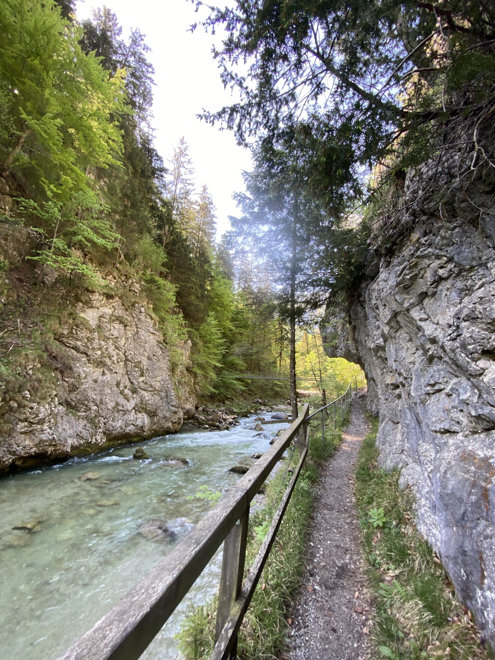 durch den Naturpark Ötscher -Tormäuer