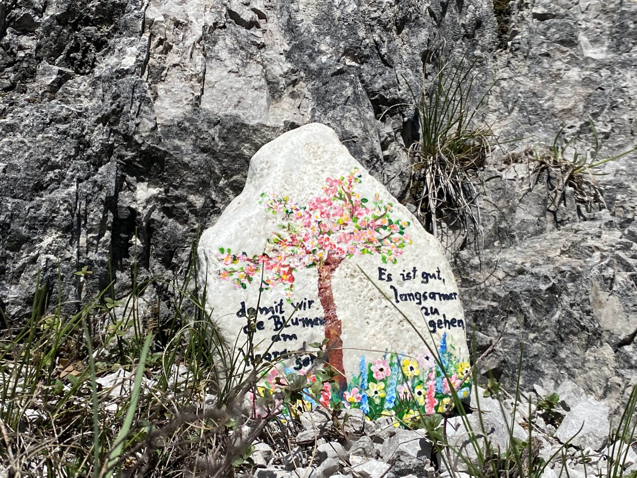 Kleiner Steingarten
