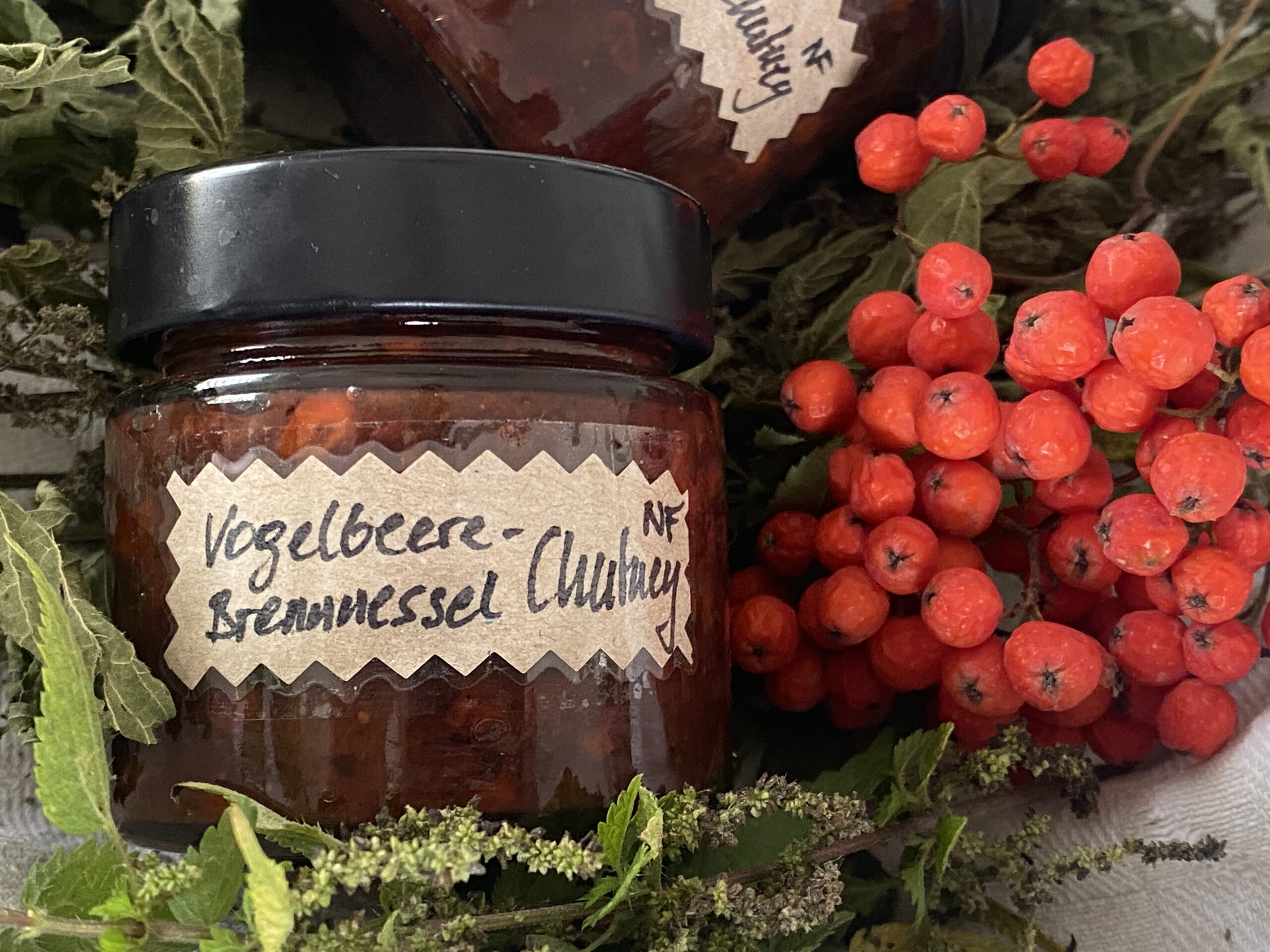 Eberesche trifft Brennnessel Wildes Chutney aus Vogelbeeren (Eberesche) mit Brennnessel-Samen