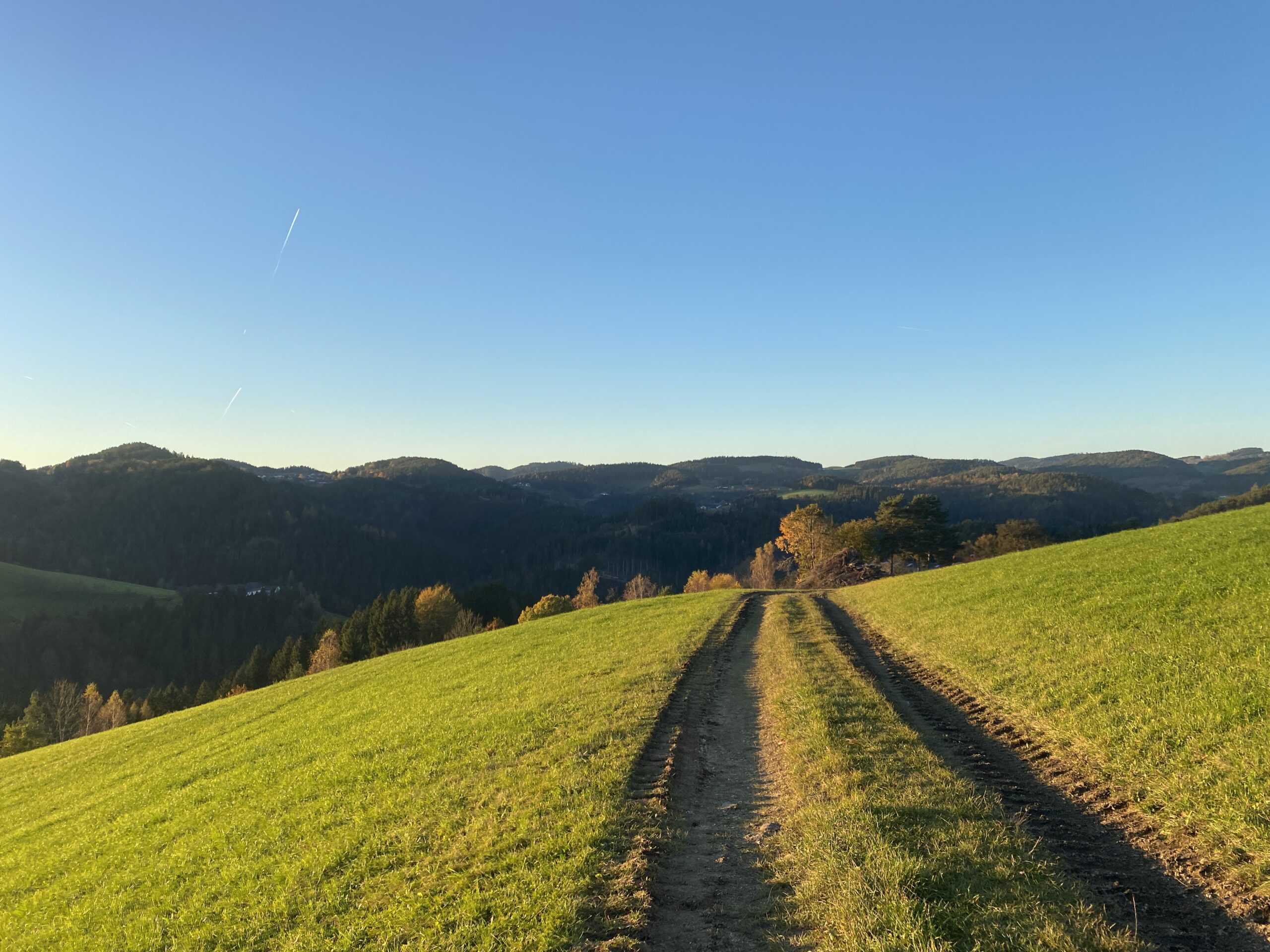 Getragen von der wärmenden Abendsonne durch´s Mühlviertel