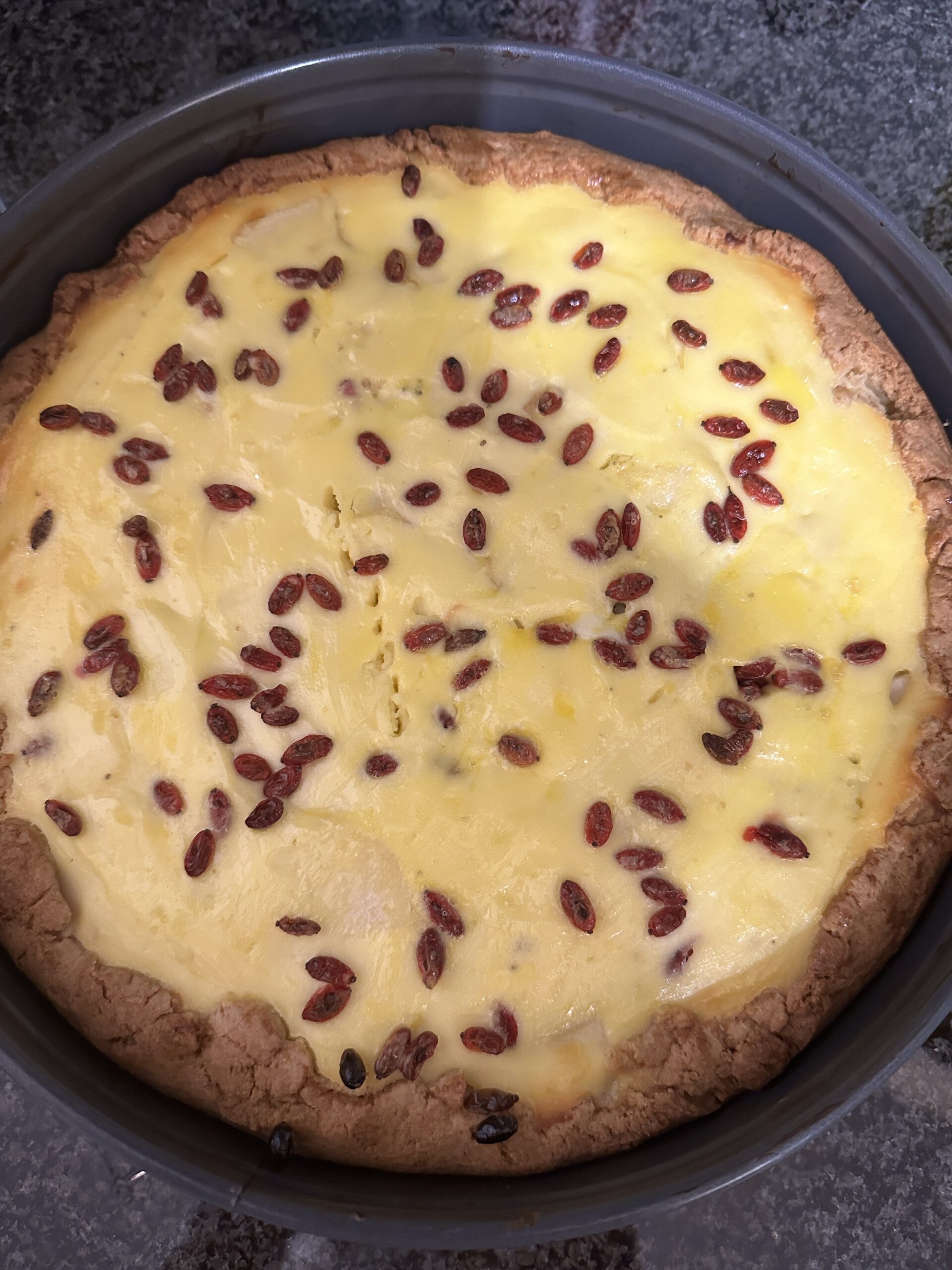 Birnen-Topfen-Kuchen mit Berberitzen und Brennnesselsamen